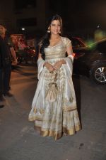Konkona Sen Sharma at Filmfare Awards Red Carpet 2014 on 24th Jan 2014